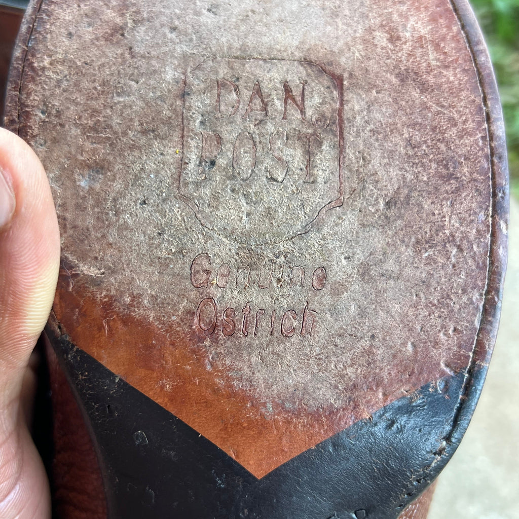 Dan Post Exotic Cowboy Western Boots
